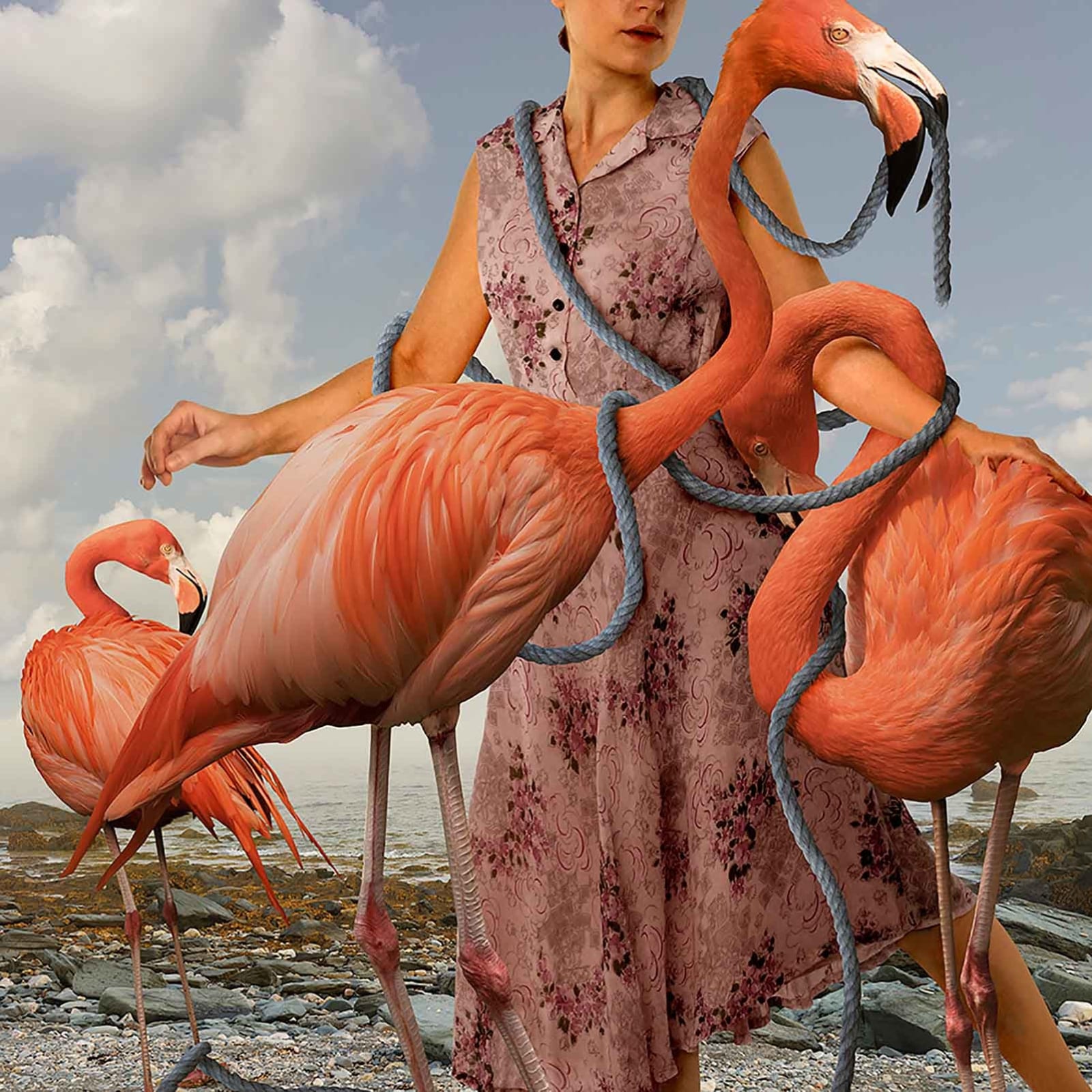 Tom Chambers photography flamingo with girl buy original print here Gilman Contemporary Sun Valley art gallery Idaho