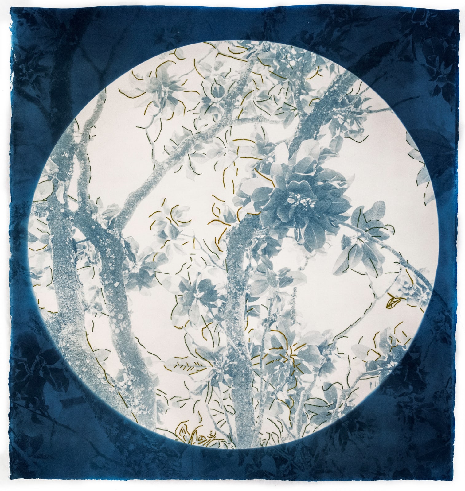 Dora Somosi Hand printed cyanotype with embroidery image of moon and flowers