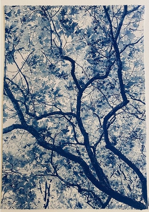 Modern Cyanotype, Dora Somosi, NY artist, Gilman Contemporary