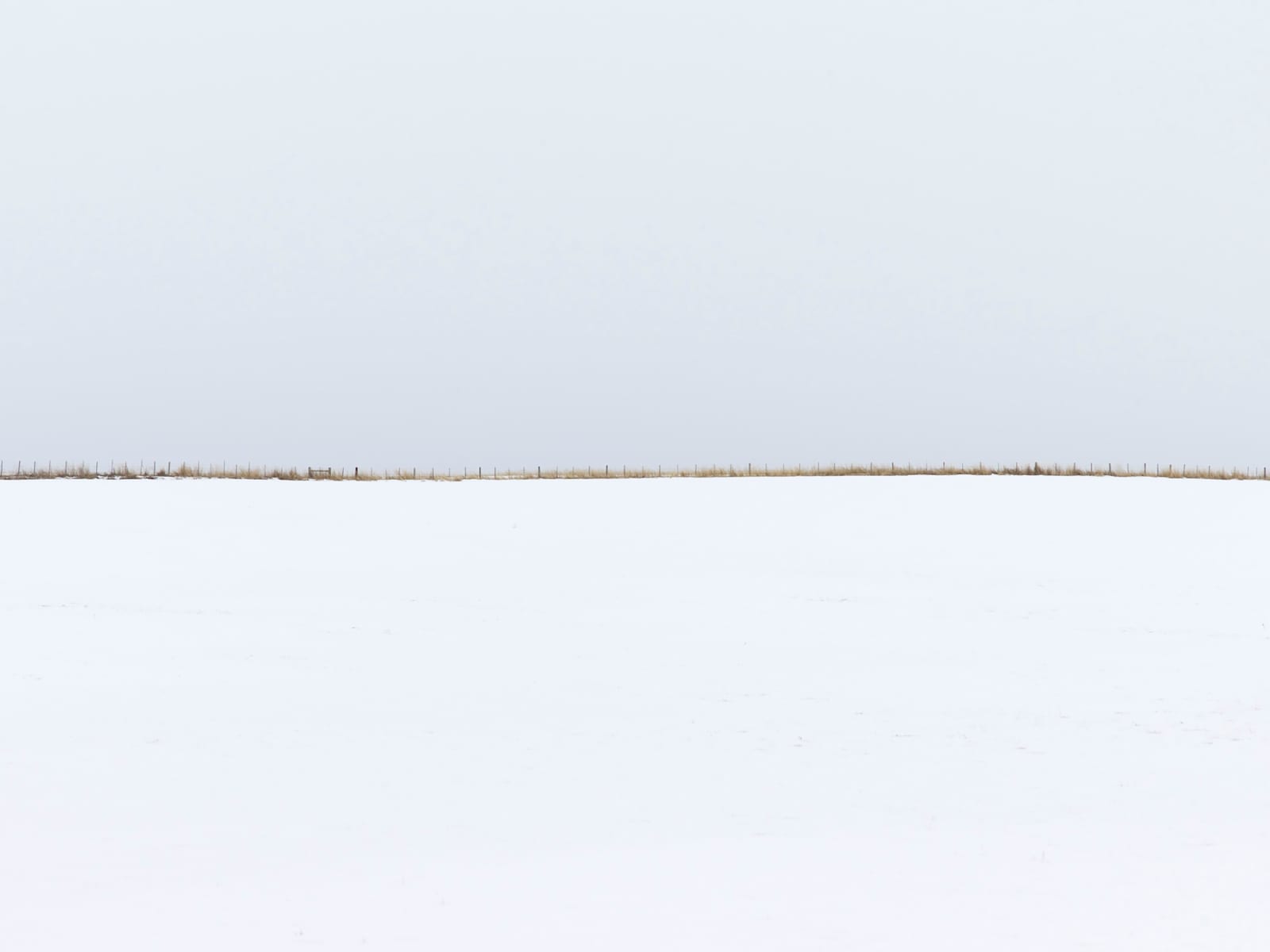 Winter in Idaho photograph Wendel Wirth