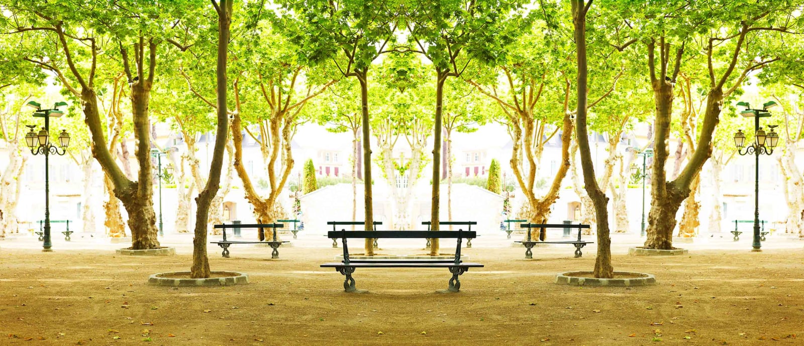 St Tropez park photograph by Laurie Victor Kay