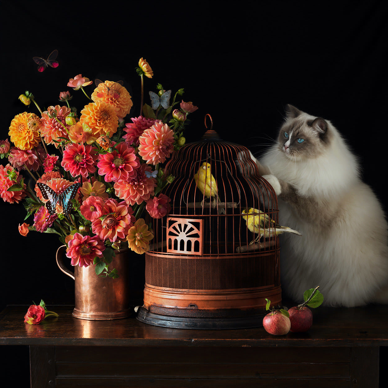 Paulette Tavormina Still Life with Flowers, Birds and Cat purchase at Gilman Contemporary Sun Valley