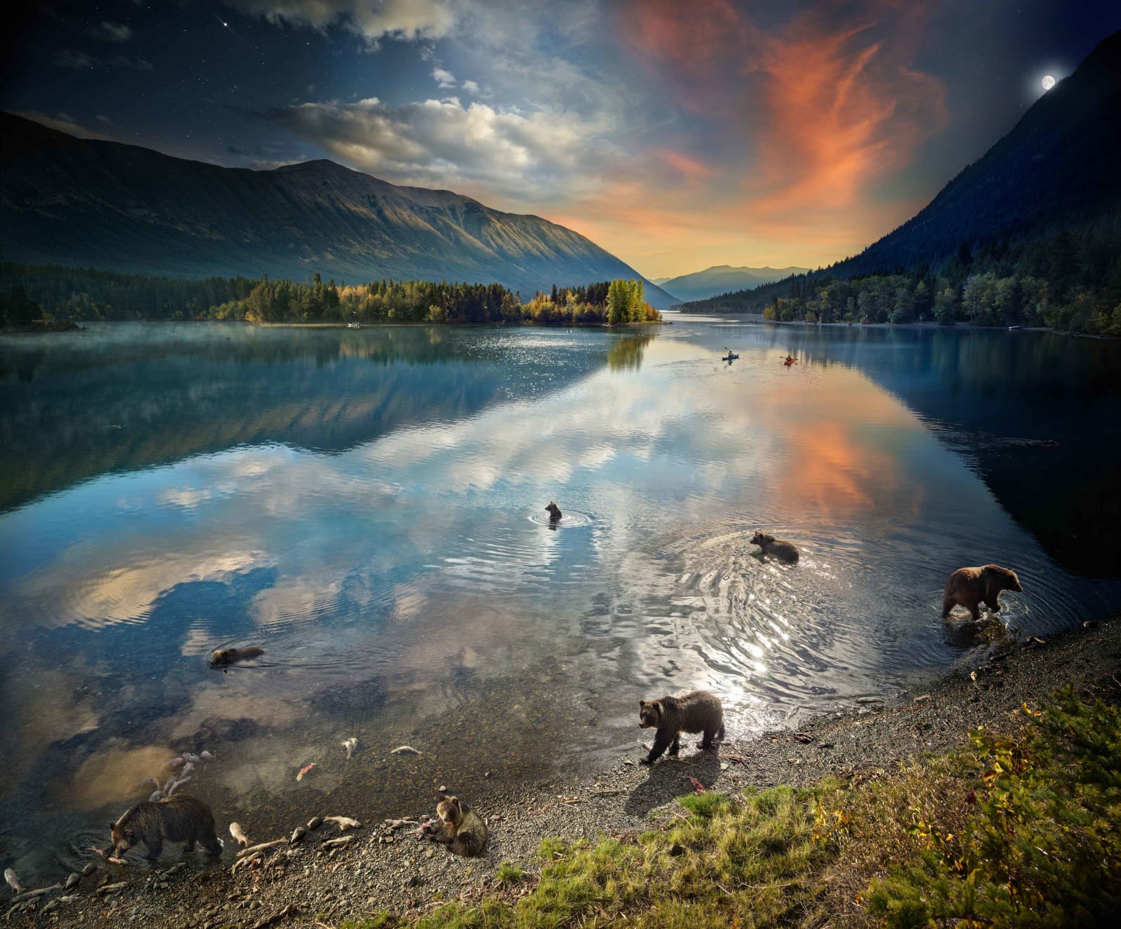 Stephen Wilkes photograph grizzly bears in alpine lake B.C. Gilman Contemporary