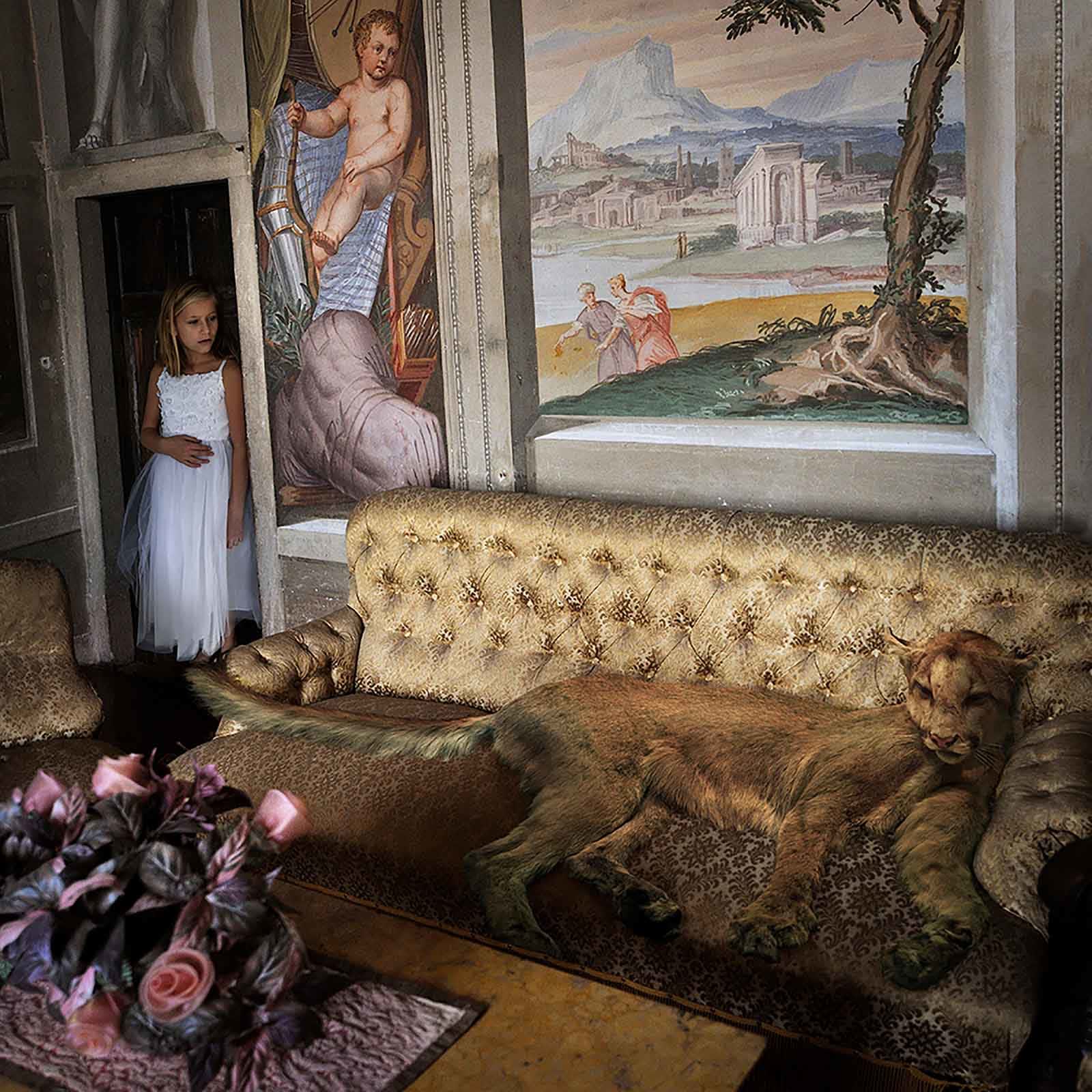It's only natural Tom Chambers photography cougar on a couch buy here Sun Valley contemporary art Gilman gallery