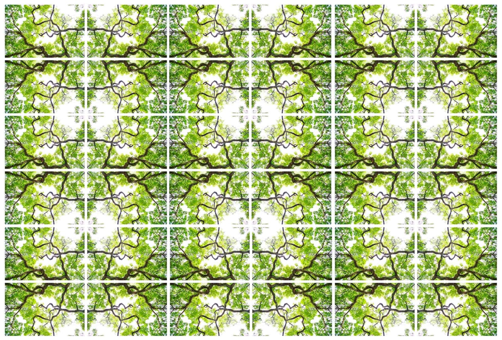 Laurie Victor Kay kaleidoscope photograph buy here Gilman Contemporary Sun Valley Idaho