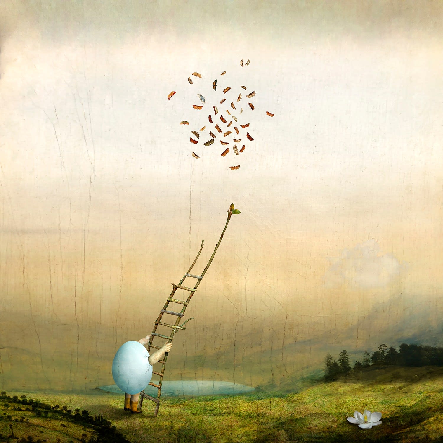 Maggie Taylor surrealist photography humpty dumpty with ladder purchase at Gilman Contemporary