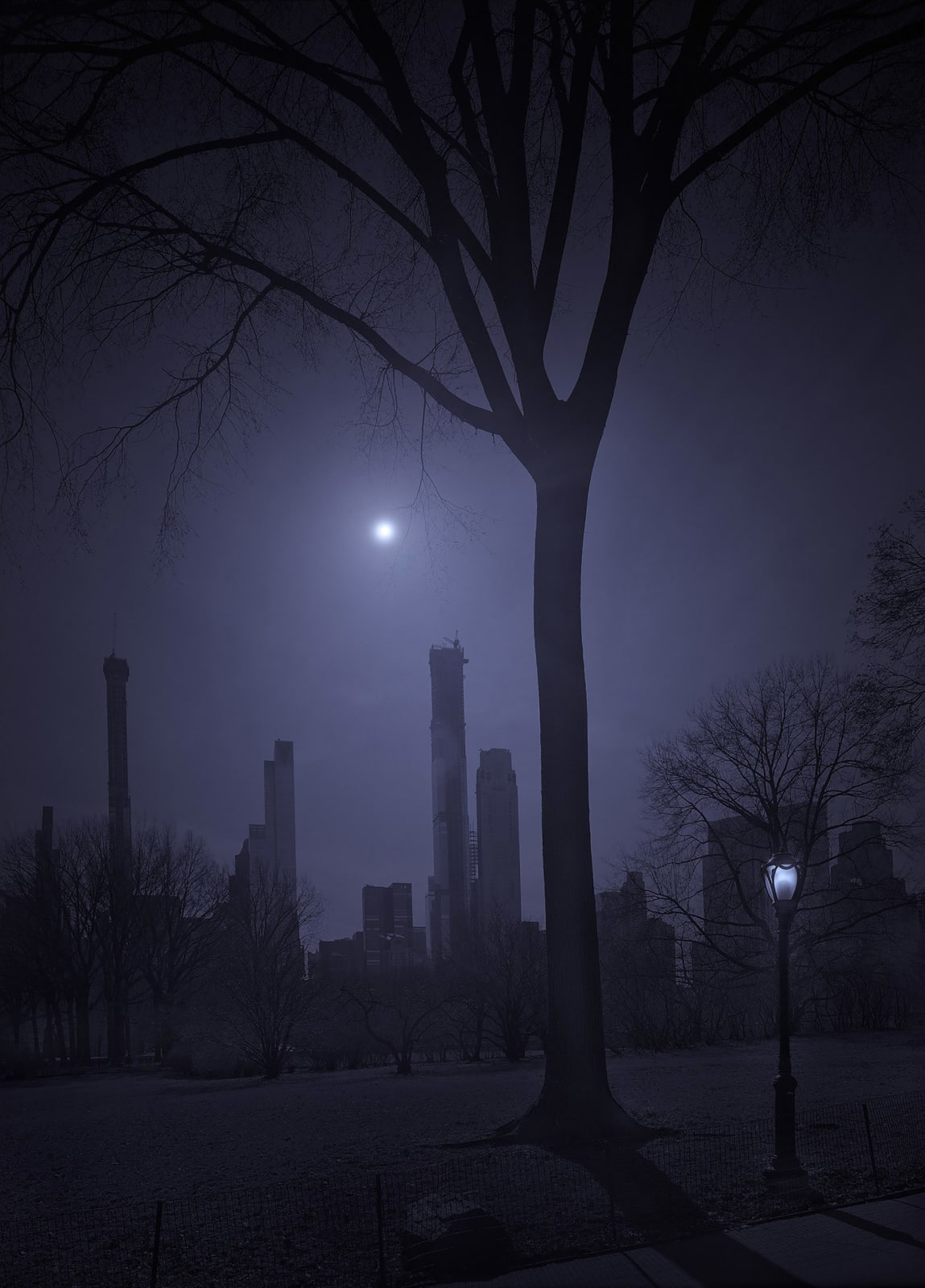 bare tree in central park with moon behind in new york city Michael massaia
