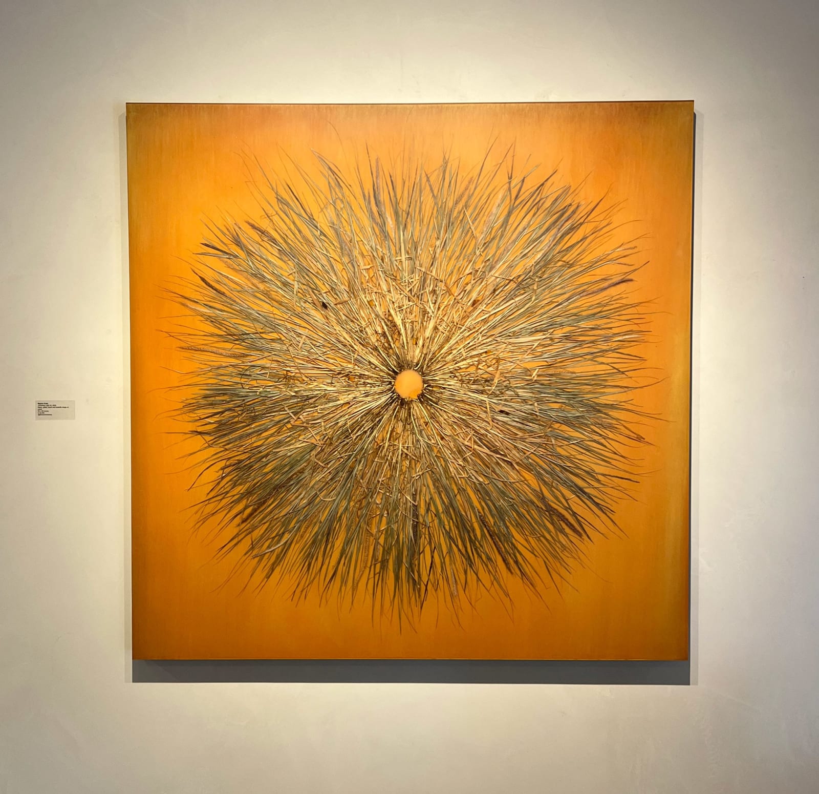 Mayme kratz vanishing light series grasses embedded in resin yellow orange art at sun valley contemporary