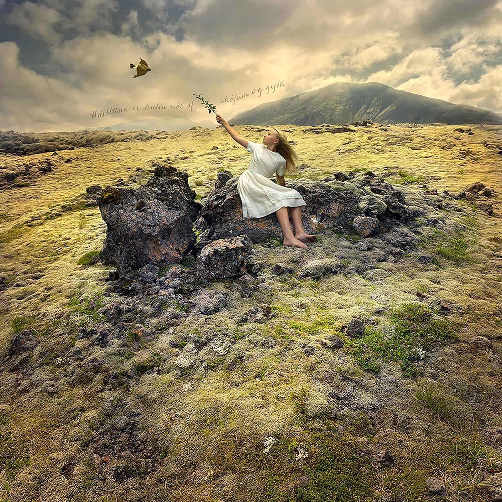 Iceland landscape photography Tom Chambers buy here Gilman Contemporary Sun Valley art gallery