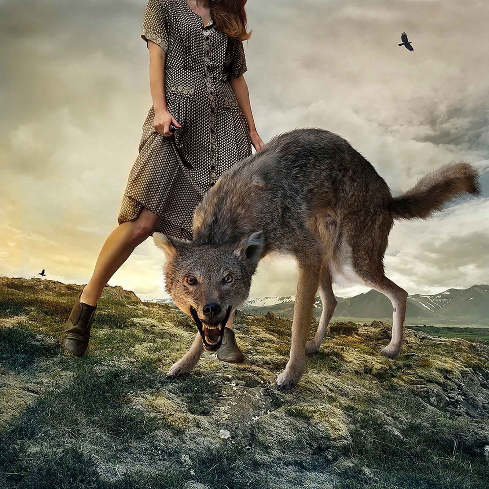girl with snarling wolf photograph Tom Chambers buy here Sun Valley art gallery Gilman Contemporary