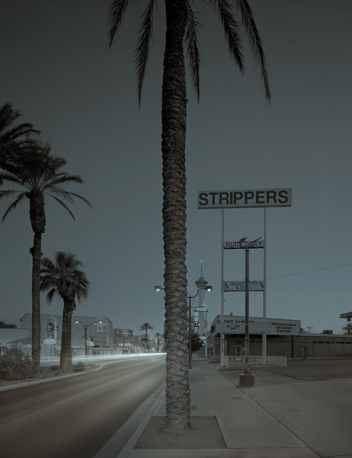 MIchael Massaia split toned and tinted silver gelatin