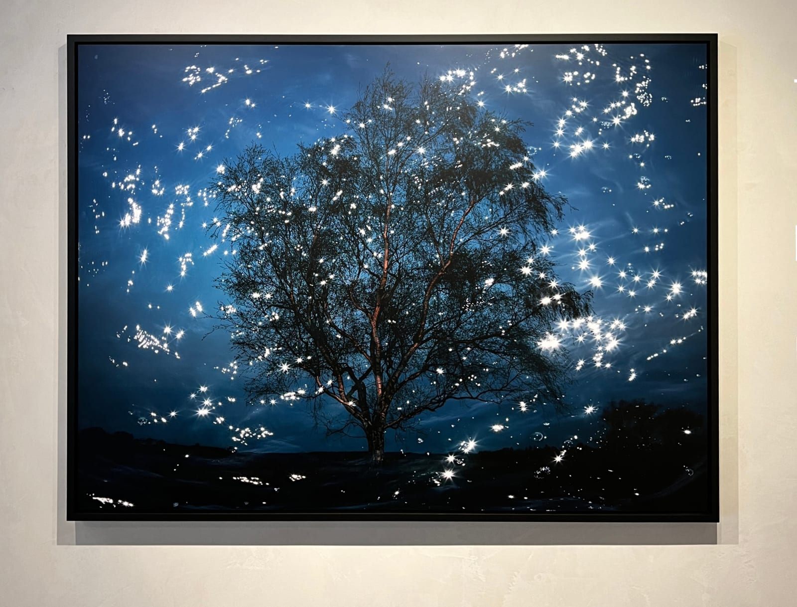 Ellie Davies photography buy here Gilman Contemporary Sun Valley art gallery Idaho