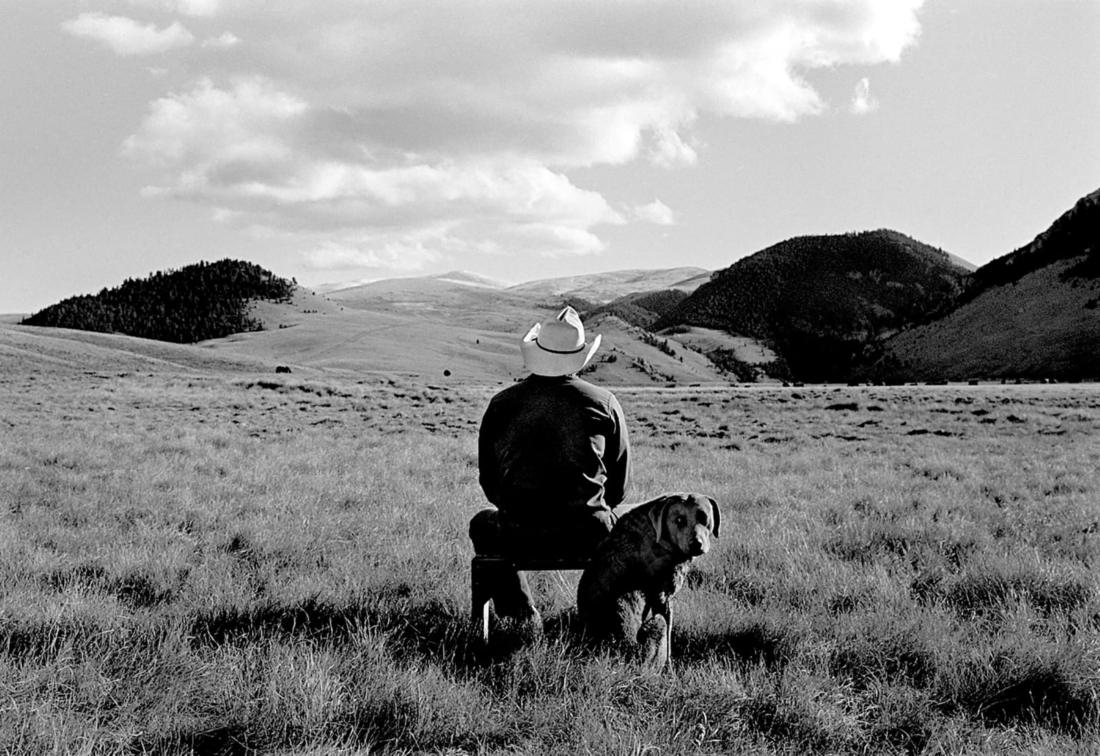 Rodney Smith, Ranch Manager with Dog, Pinedale, Montana