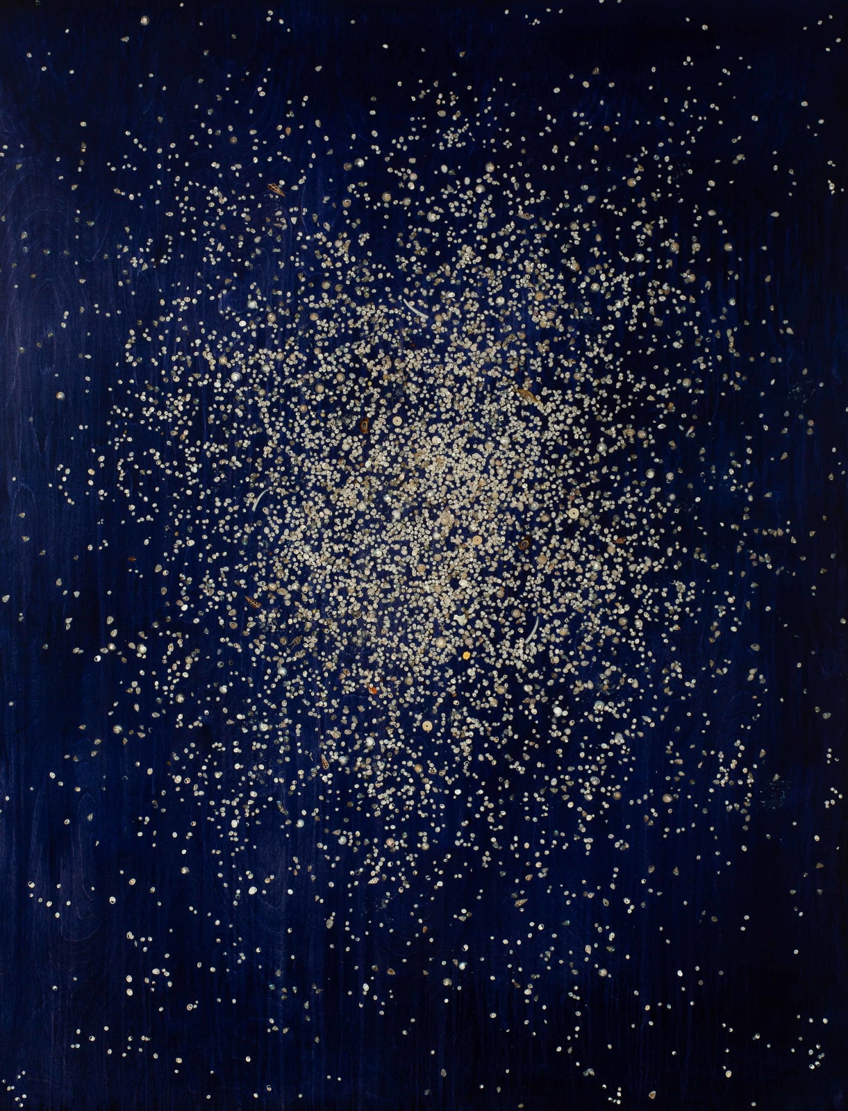 mayme kratz seashells inlayed in resin at gilman contemporary