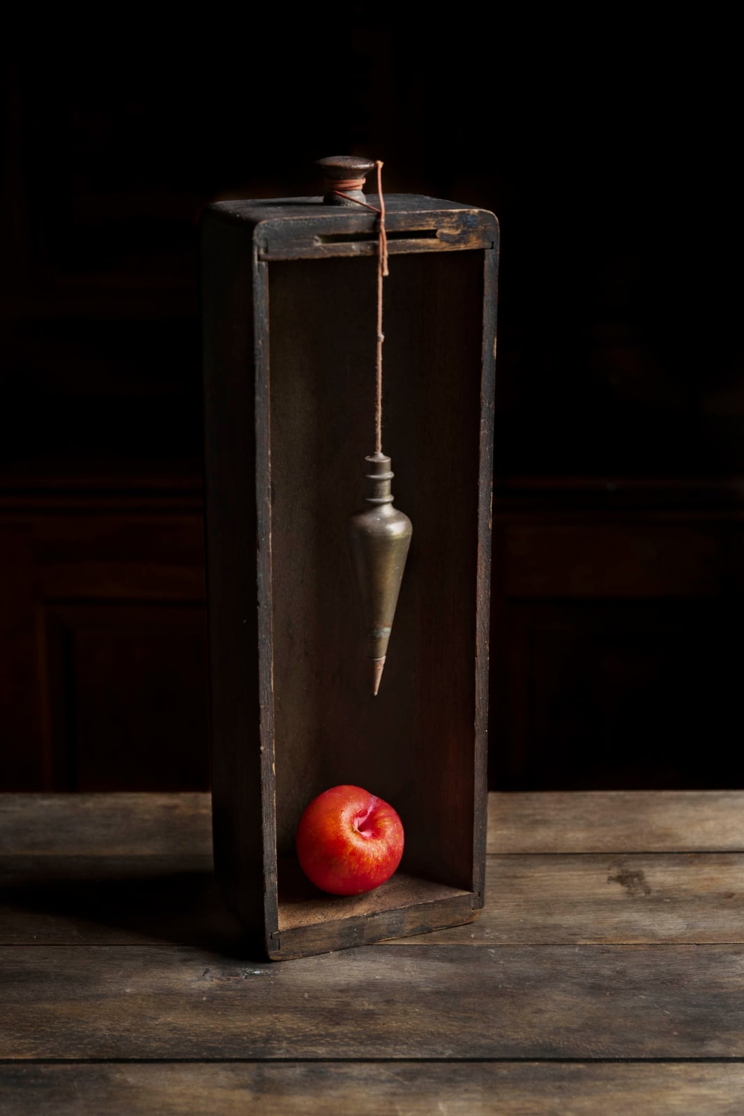 plum line in a box with a plum photo by jp terlizzi