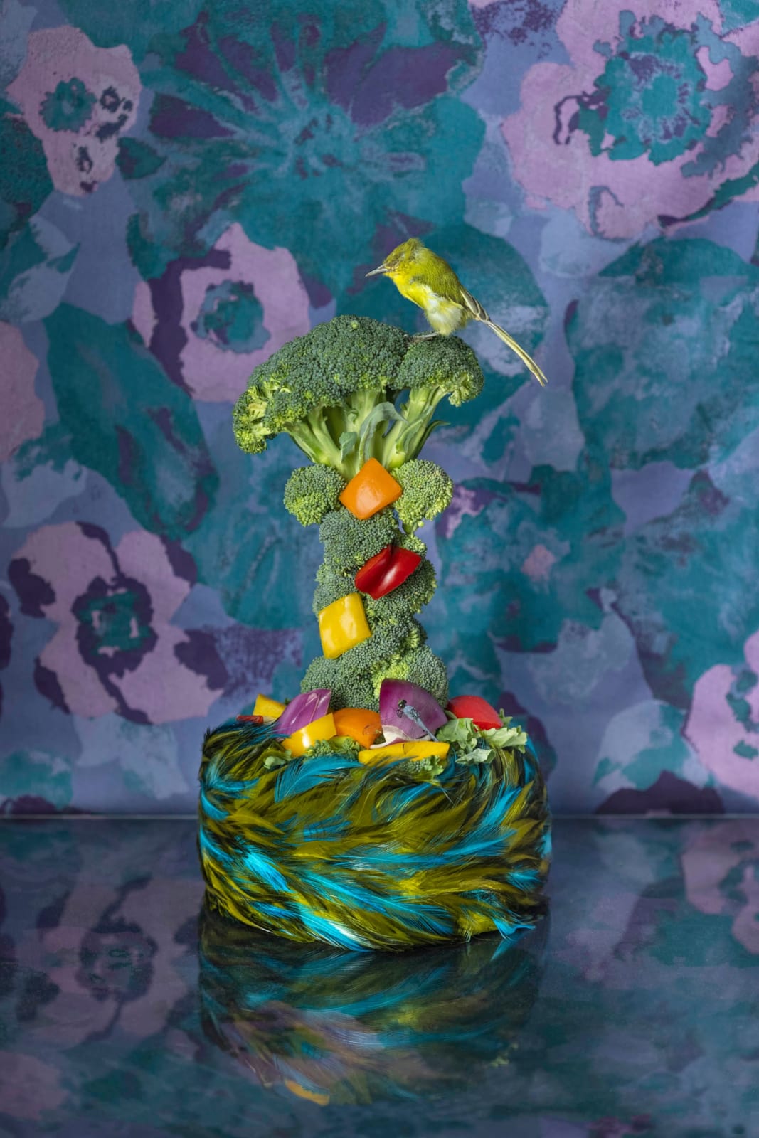 broccoli and cut veggies arranged on nest of green feathers photograph