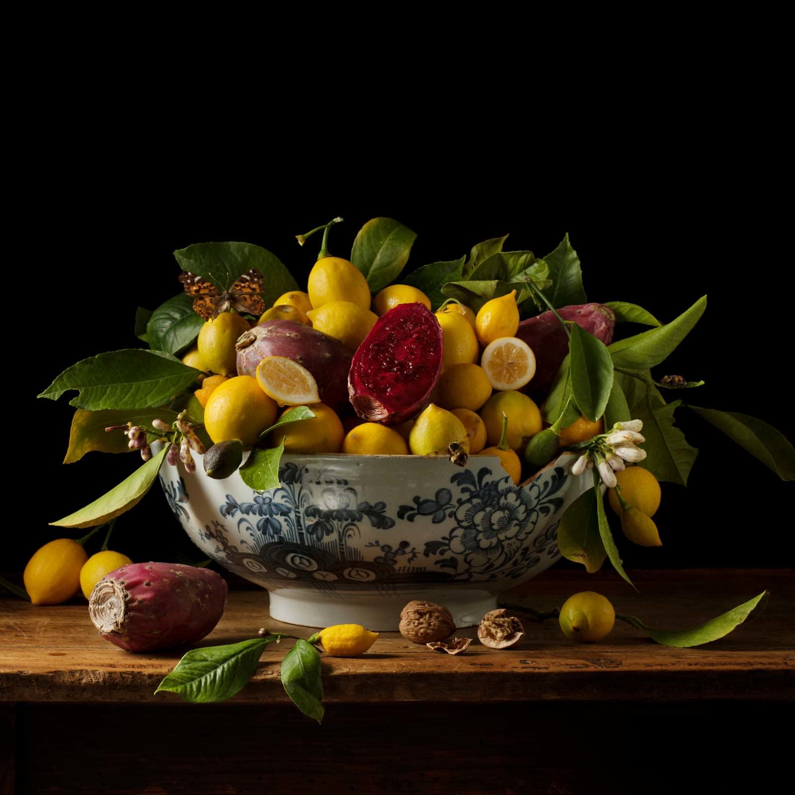 lemons and Paris blue bowl still life Paulette Tavormina photography buy here Gilman Contemporary Sun Valley art gallery