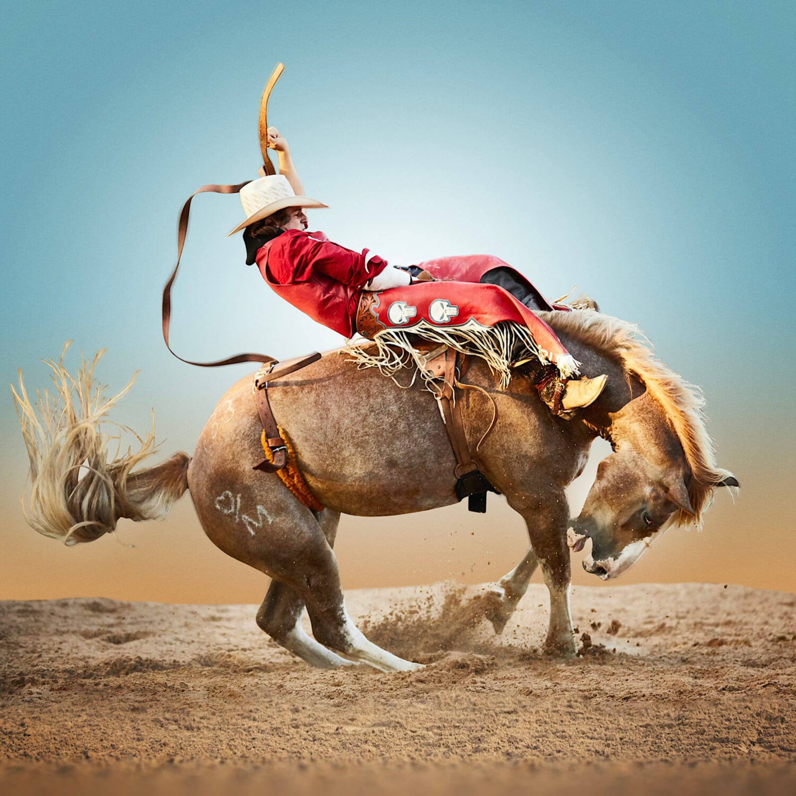 color photograph horse and rider in rodeo by Steve Wrunel