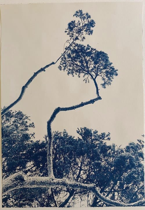 Gilman Contemporary, Dora Somosi, Fine art photography, Ketchum IDAHO