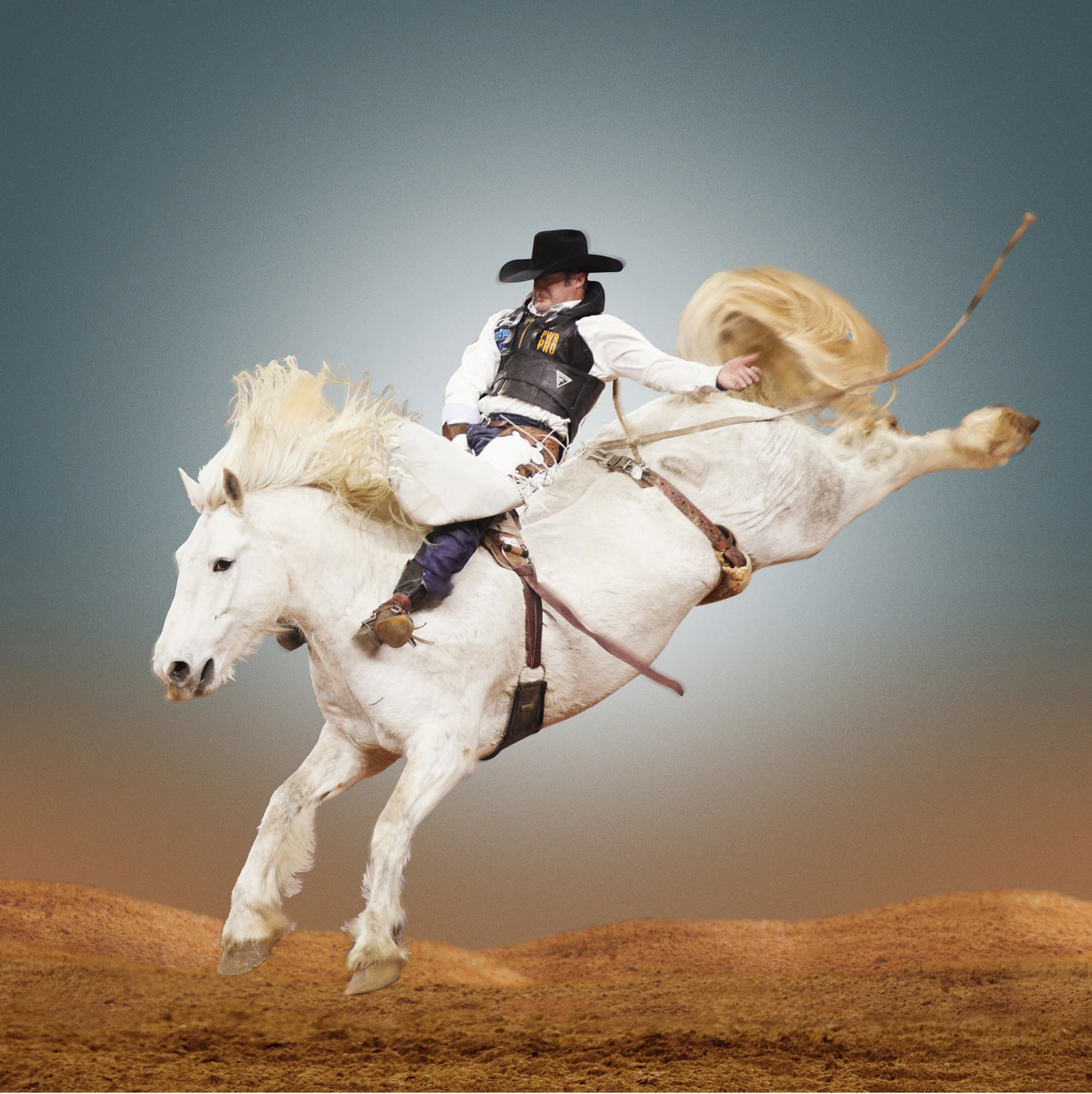 Kaycee large white horse in rodeo