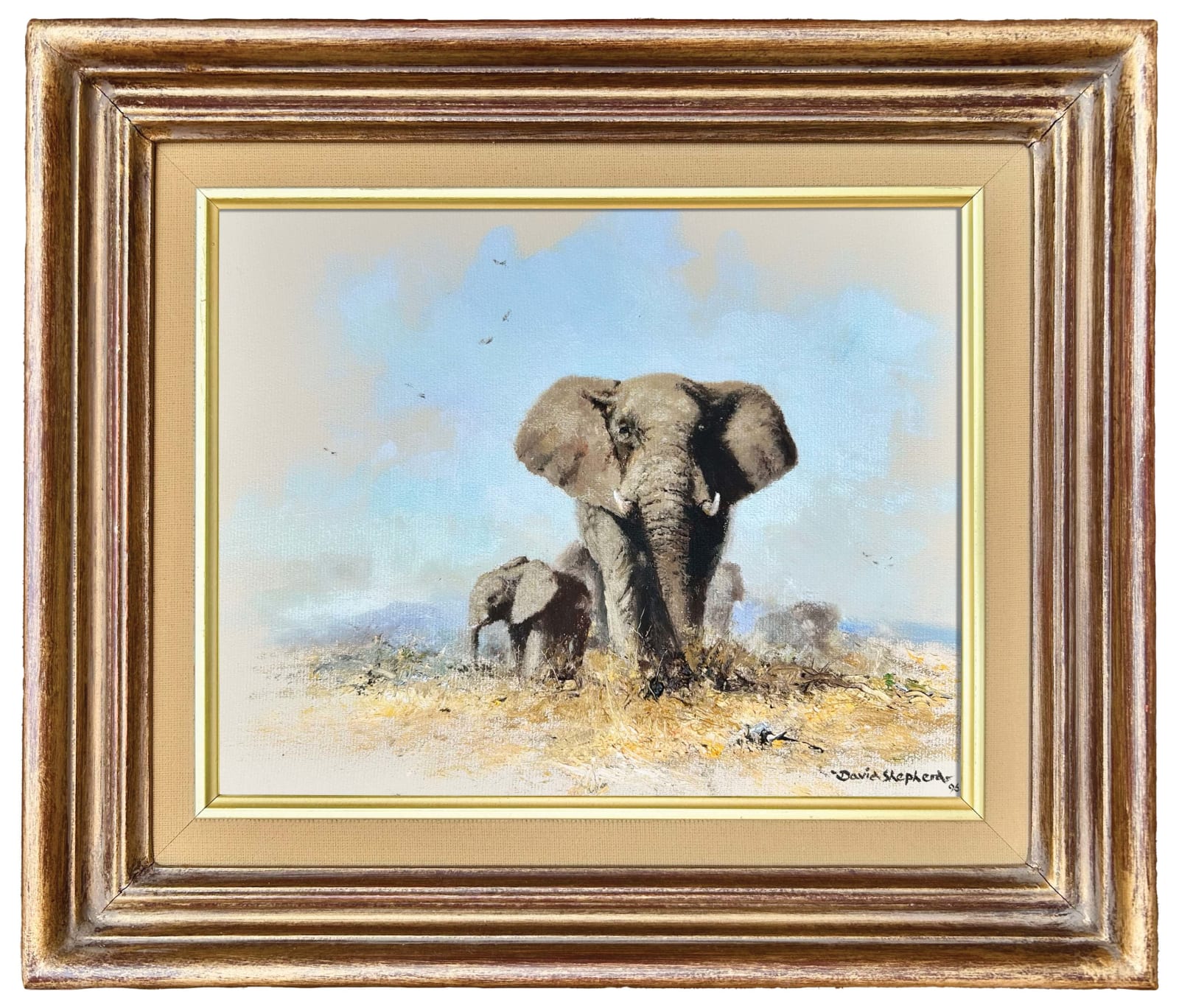 David Shepherd, Elephant