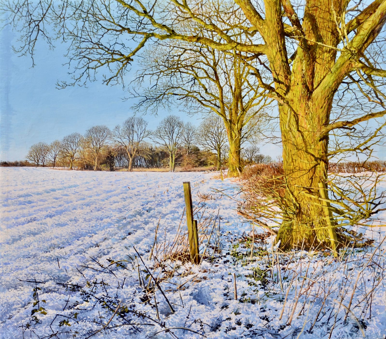 Martin Taylor, A Warm Winter's Day