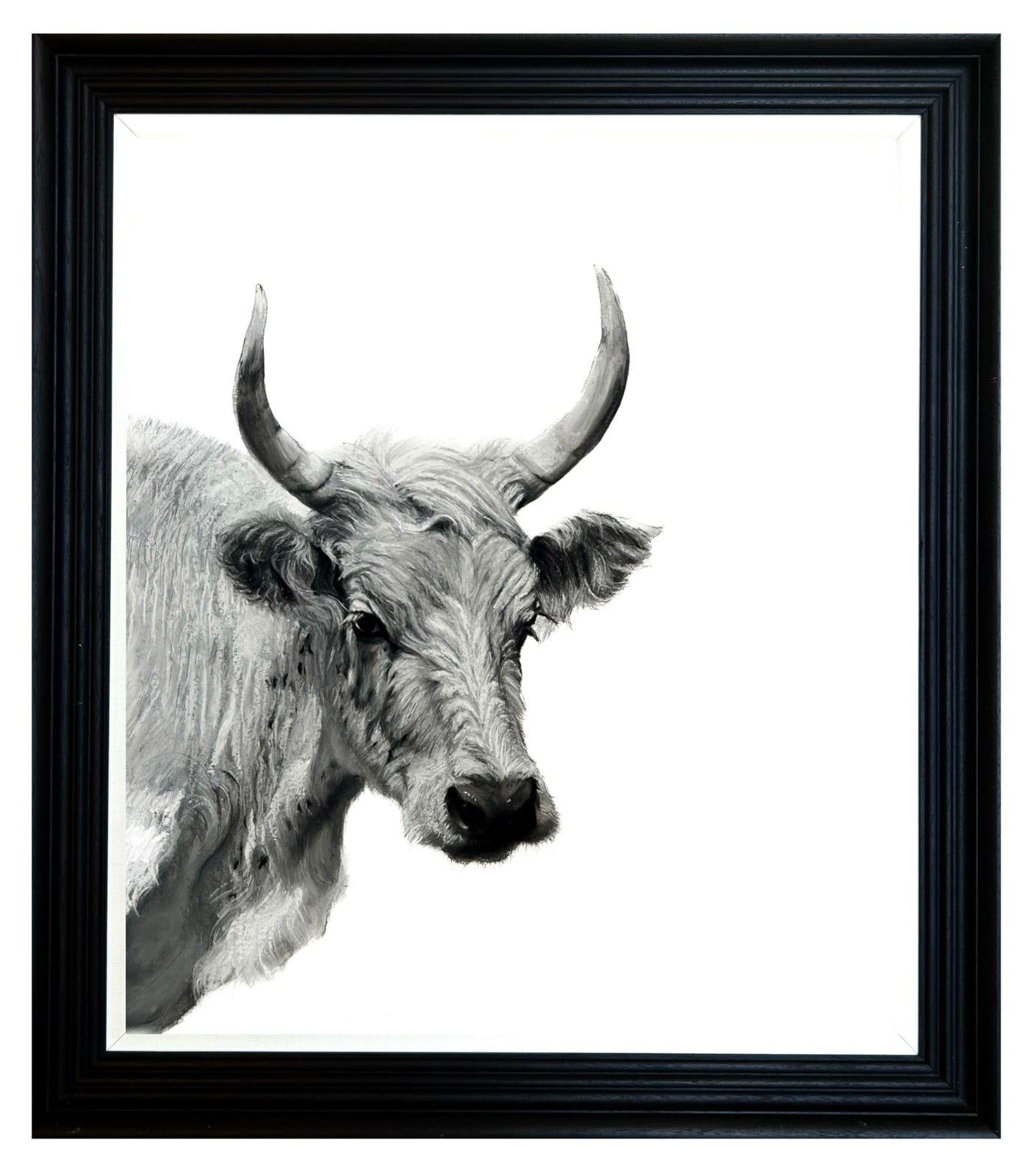 Lucy Boydell, The Chillingham Cow