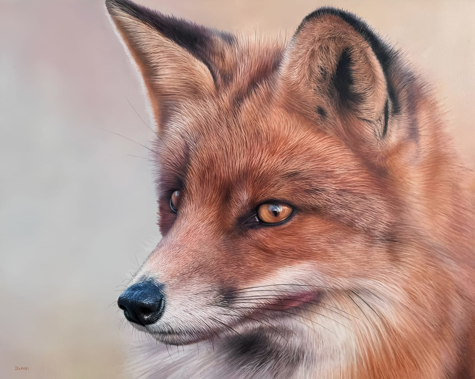 Sam Dolman, Clover (Red Fox)