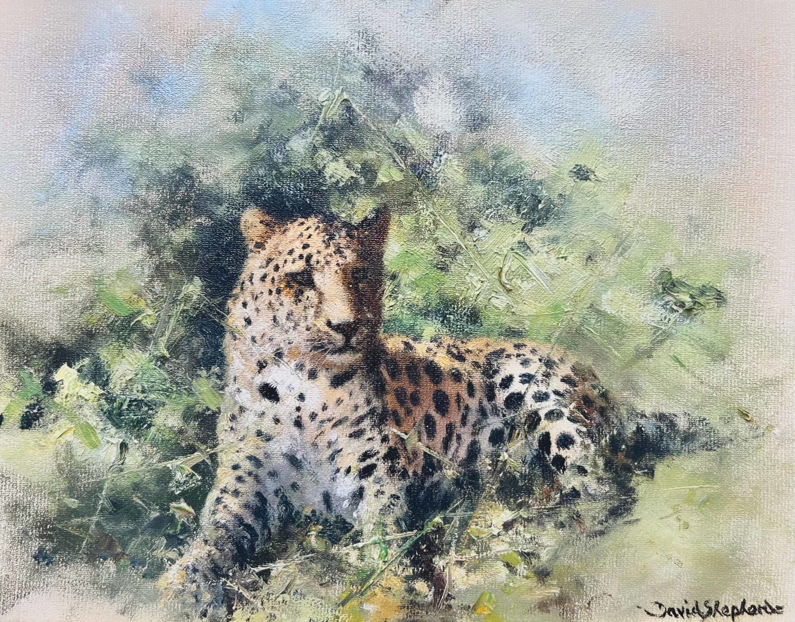 David Shepherd, Cheetah