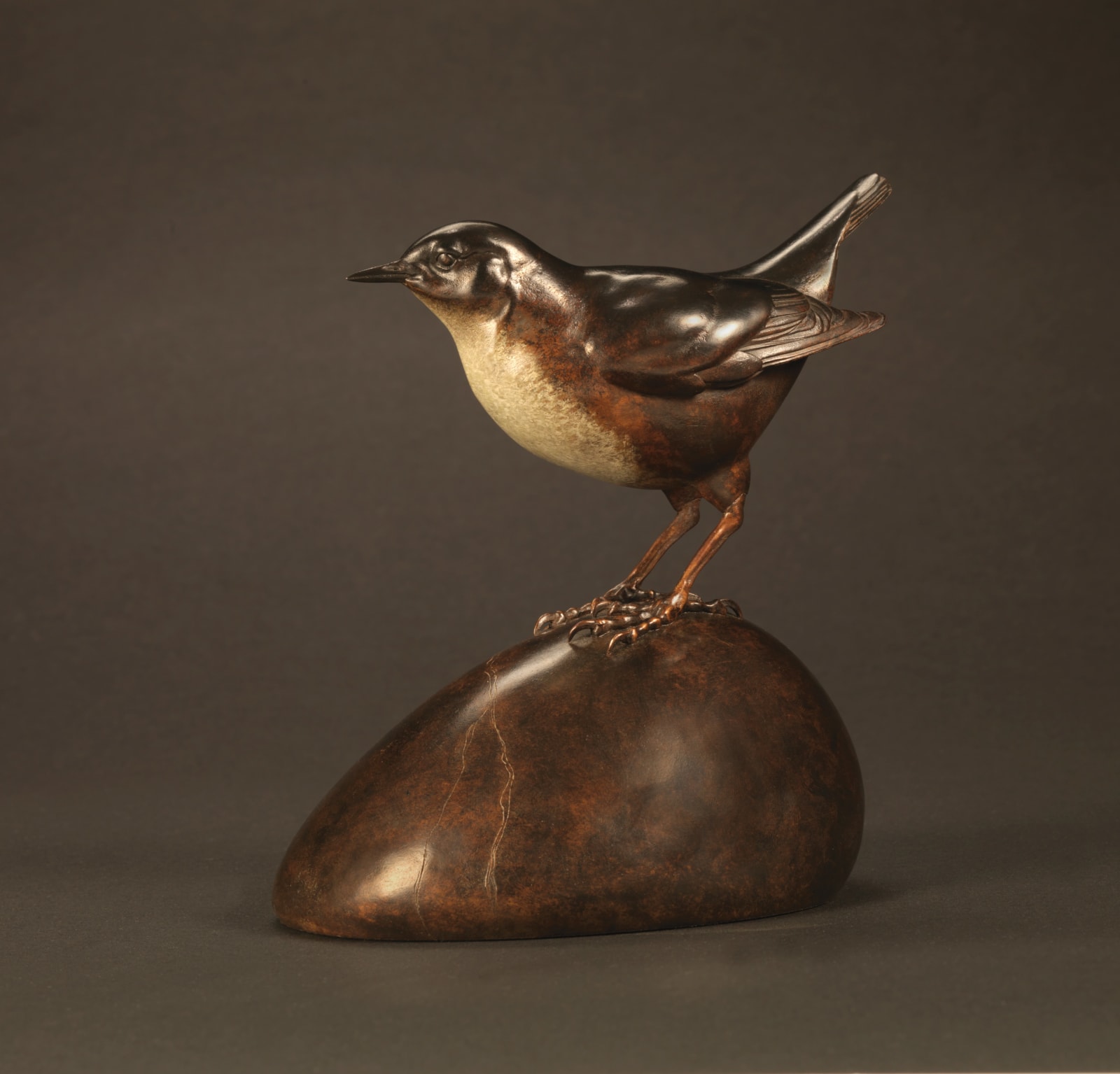Nick Bibby, Dipper