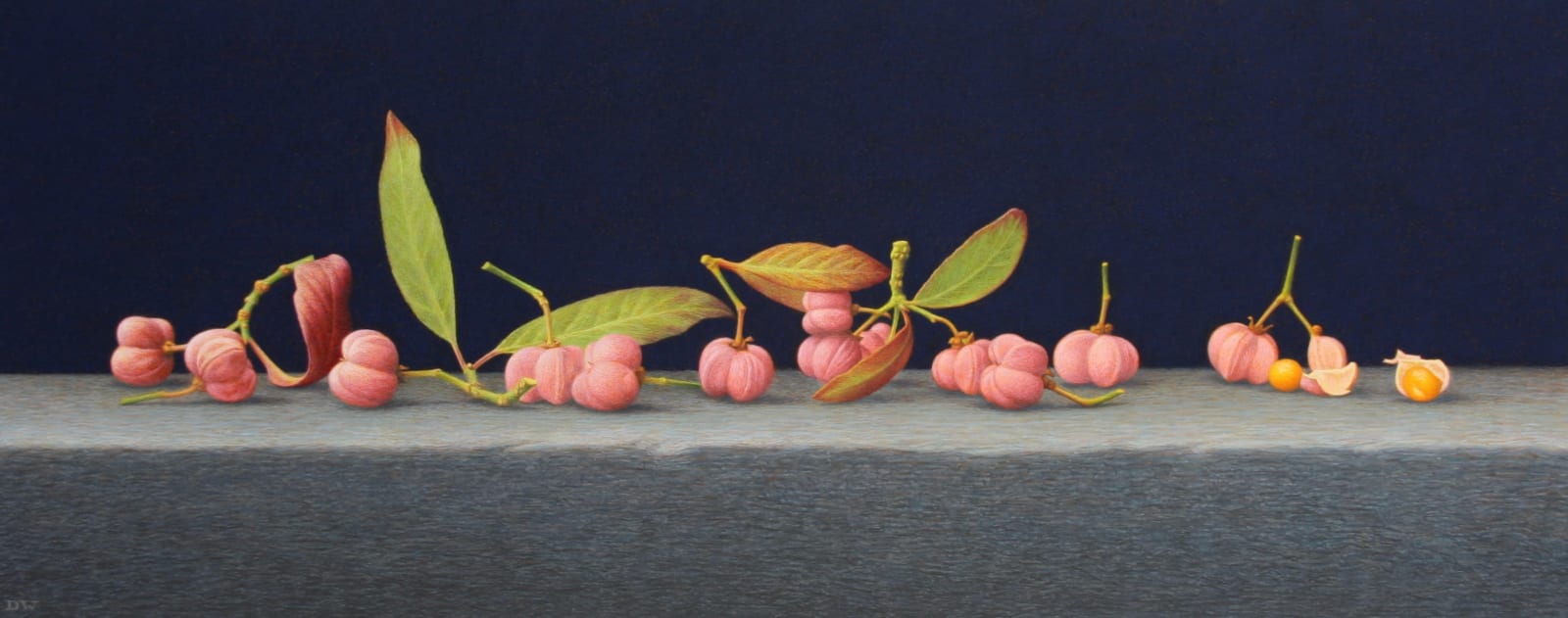 Dylan Waldron, Spindle Berries