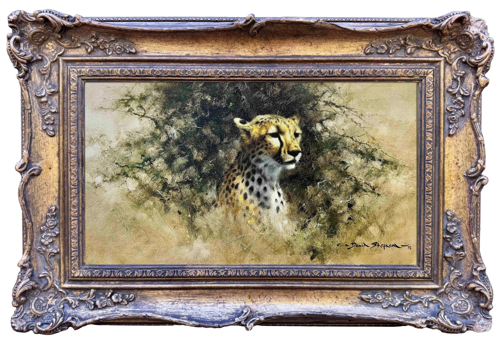 David Shepherd, Cheetah