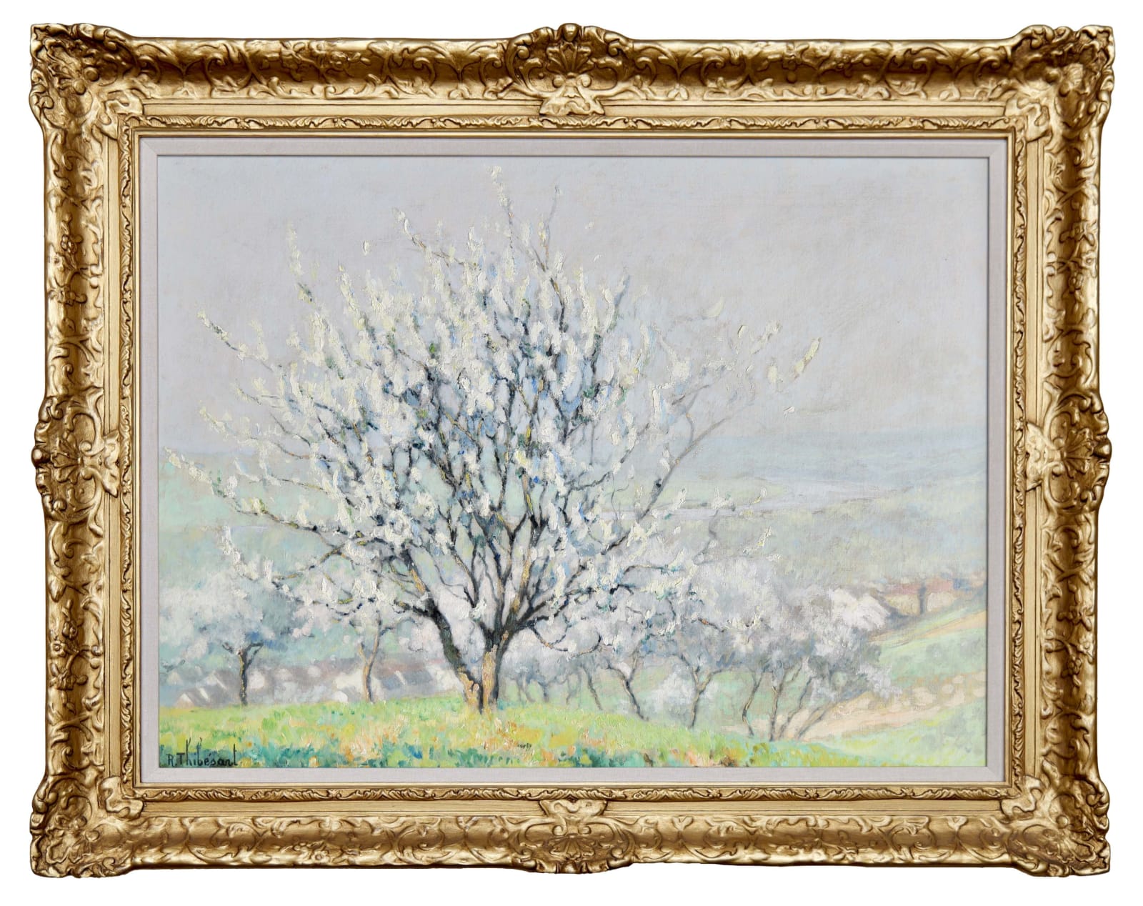 Raymond Thibésart, White Blossom in Spring