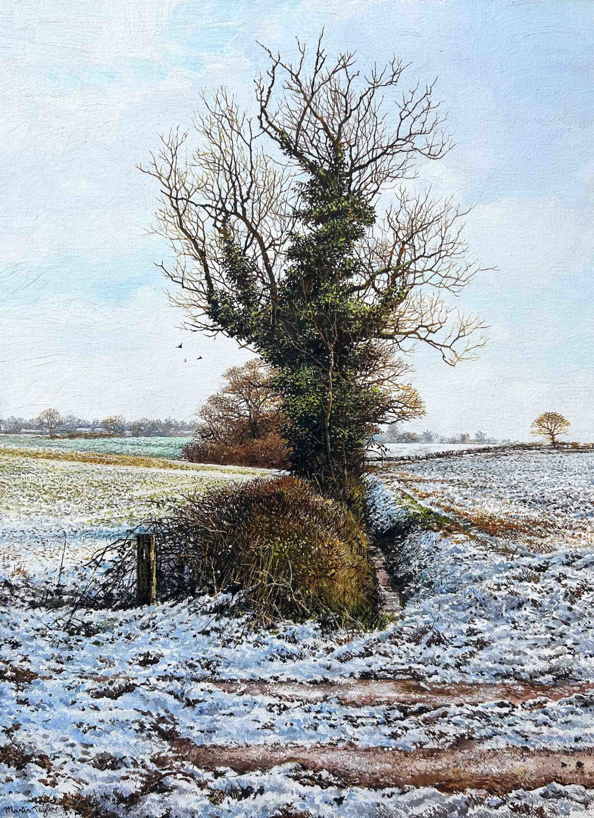 Martin Taylor, Over the Icy Tracks, Near Church Brampton