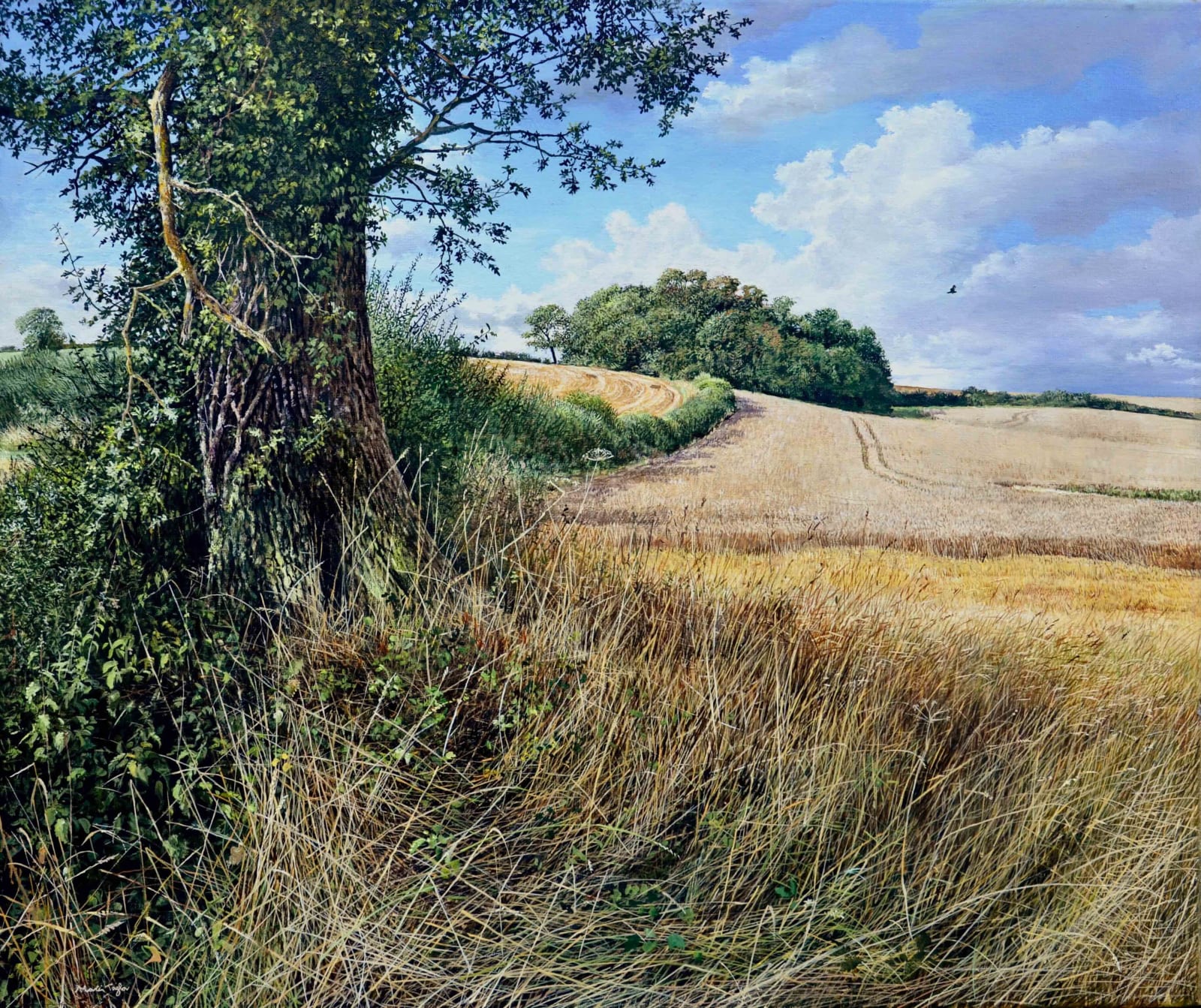 Martin Taylor, Under the Shadow of the Great Oak