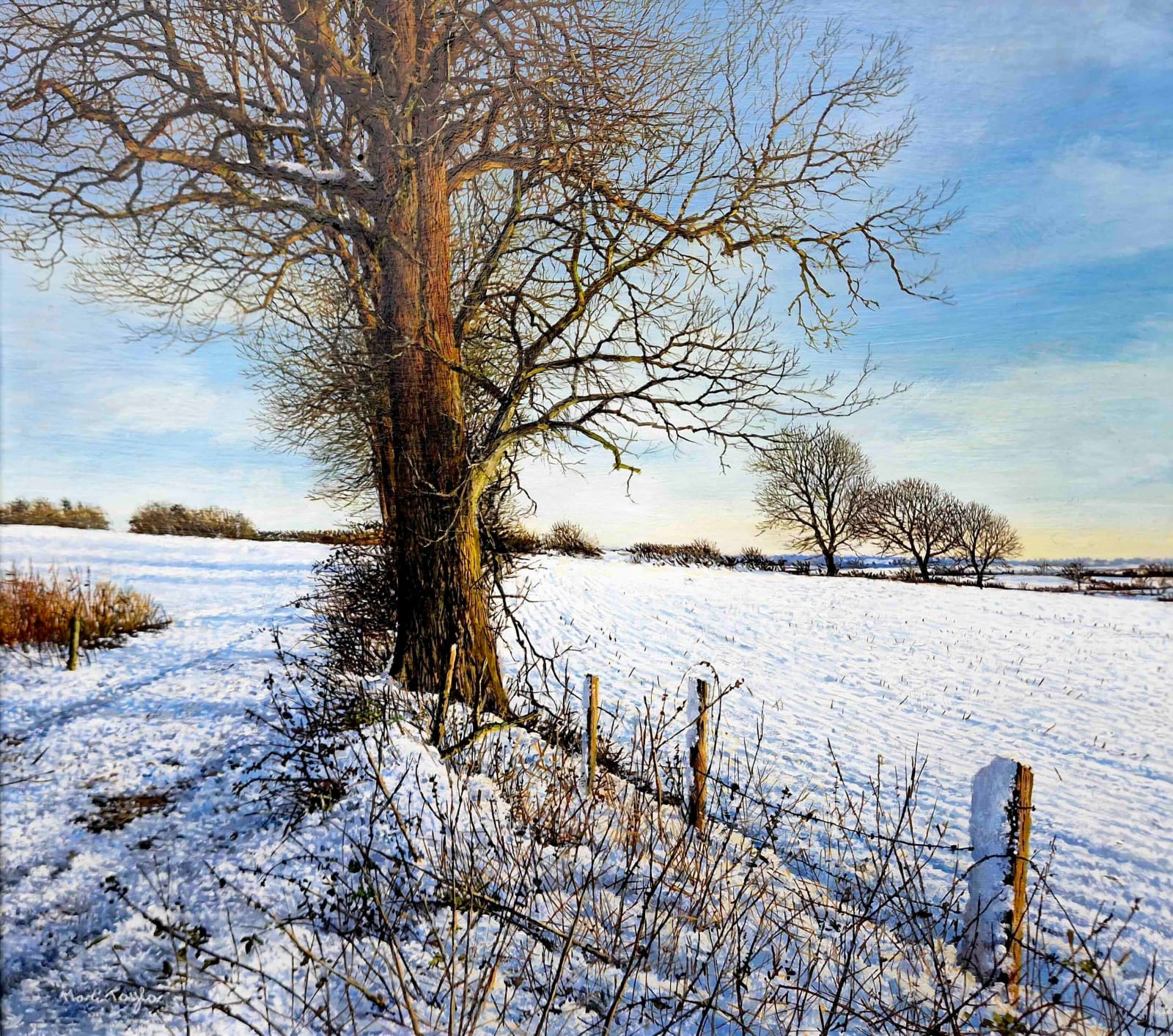 Martin Taylor, Winter Snow