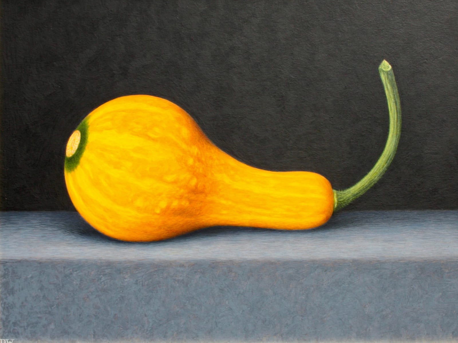 Dylan Waldron, A Gourd, 2010