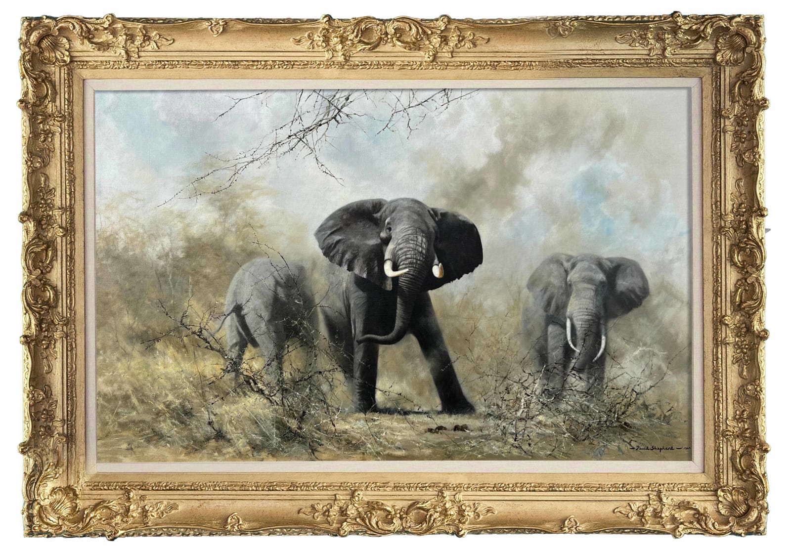 David Shepherd, Elephants of Samburu, 1964