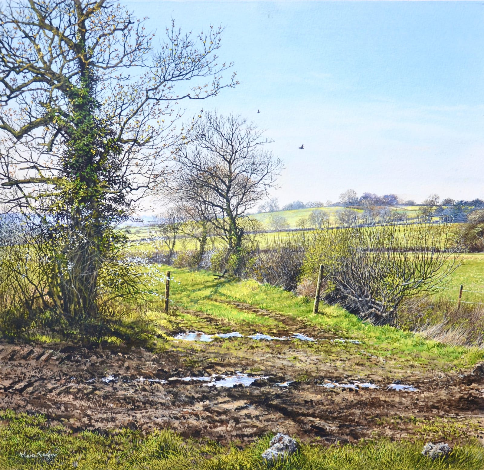 Martin Taylor, The Awakening of Spring