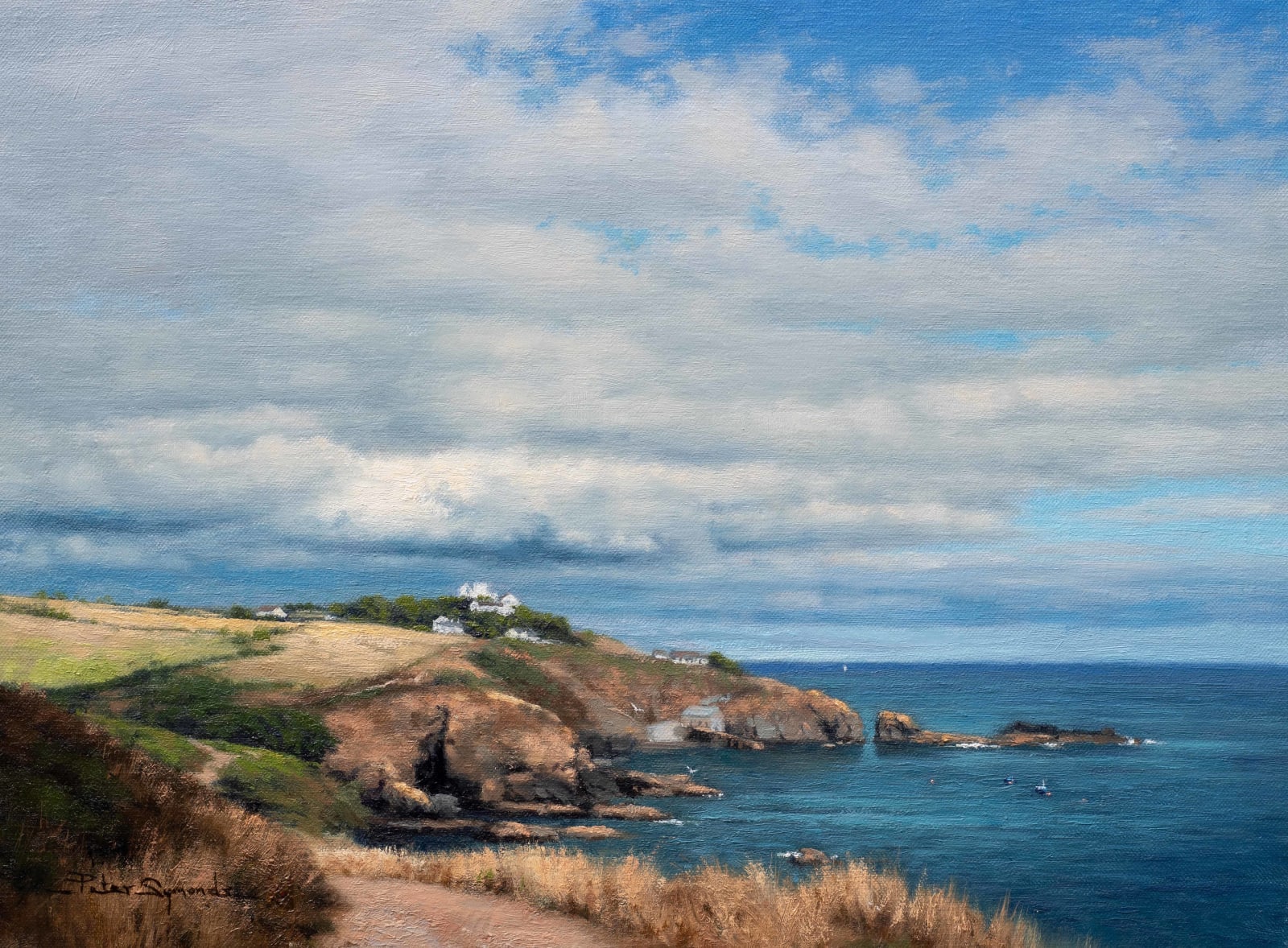 Peter Symonds, Cornish Coast Path, Lizard Point