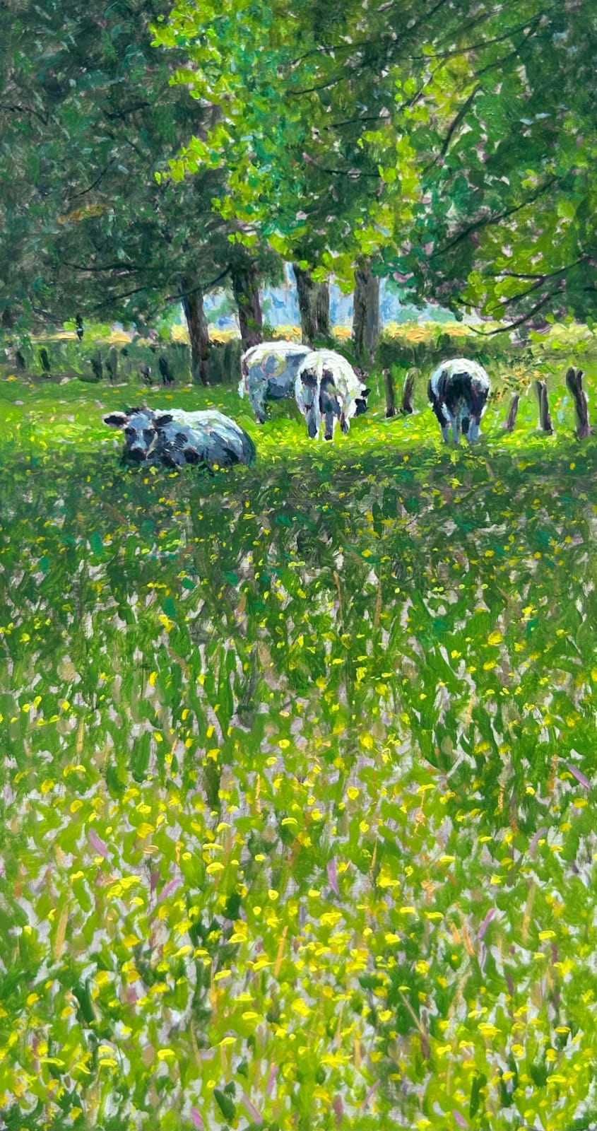 Eric De Vree, In the Sunlight
