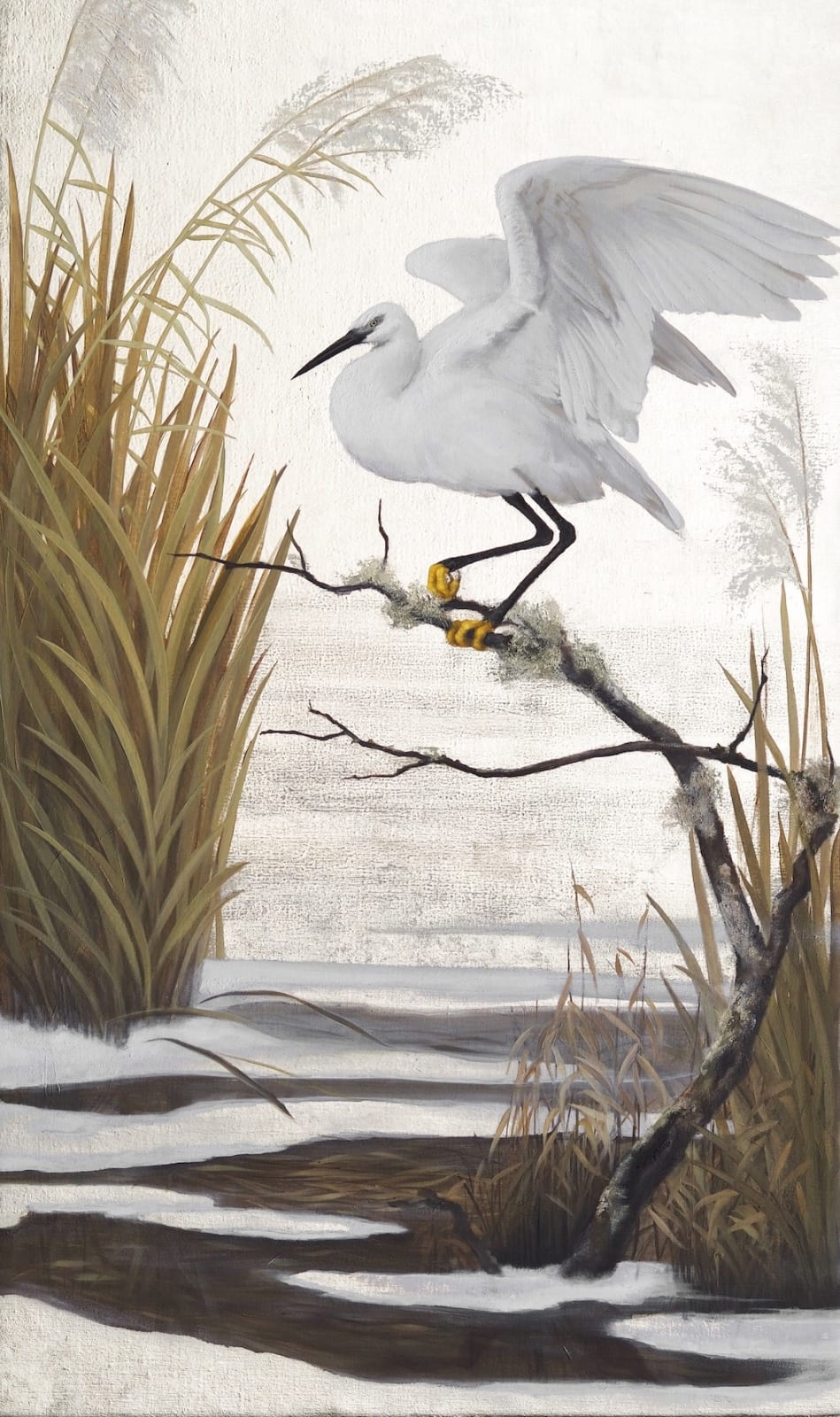 Clarissa James, Winter Egret