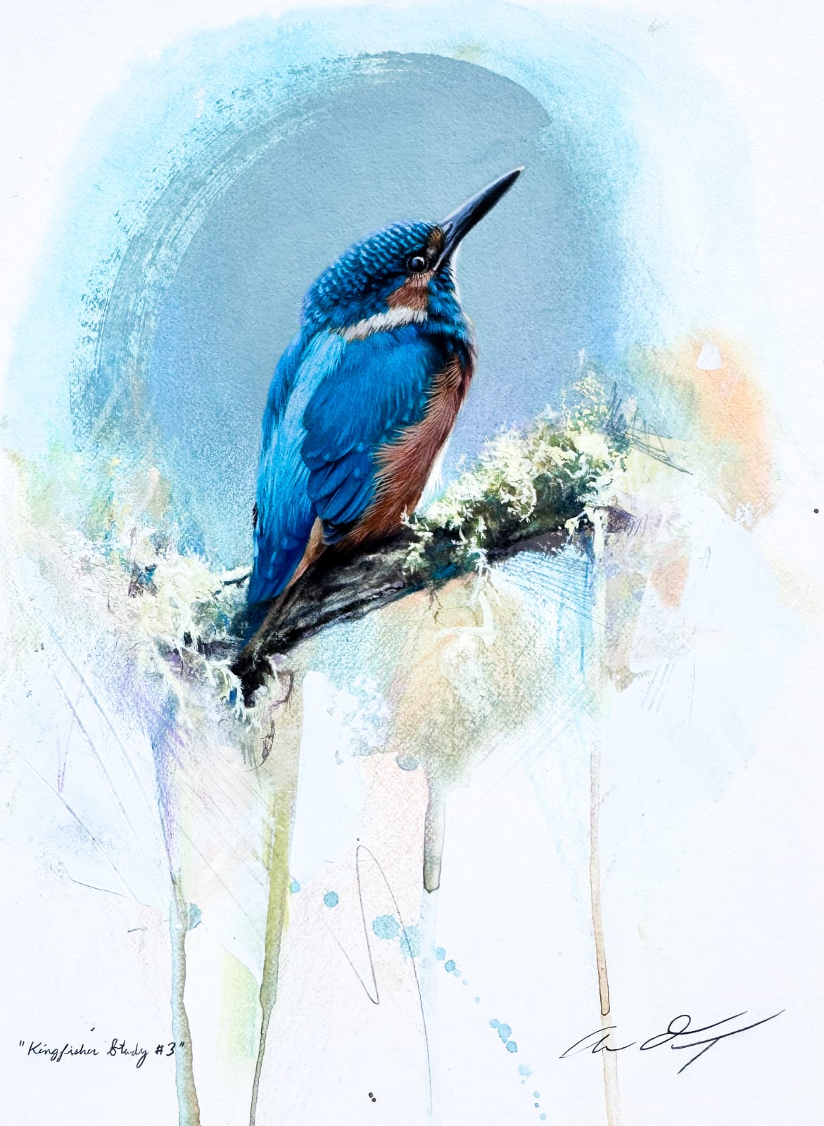 Andrew Denman, Kingfisher Study III