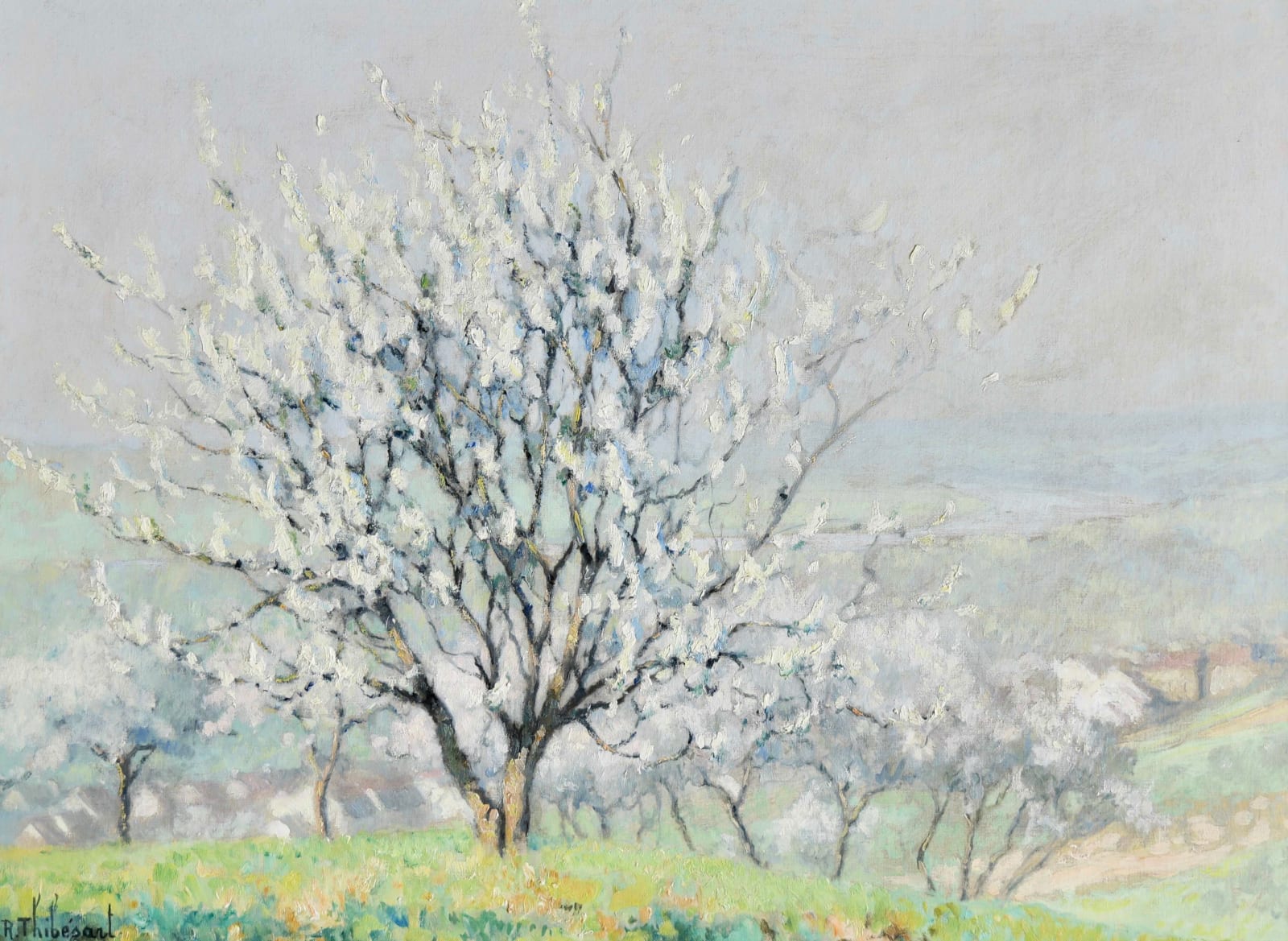 Raymond Thibésart, White Blossom in Spring