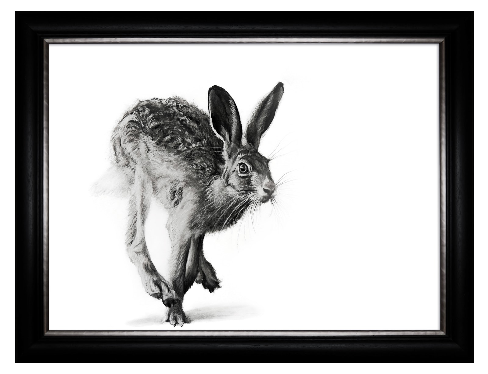 Lucy Boydell, Spring Hare