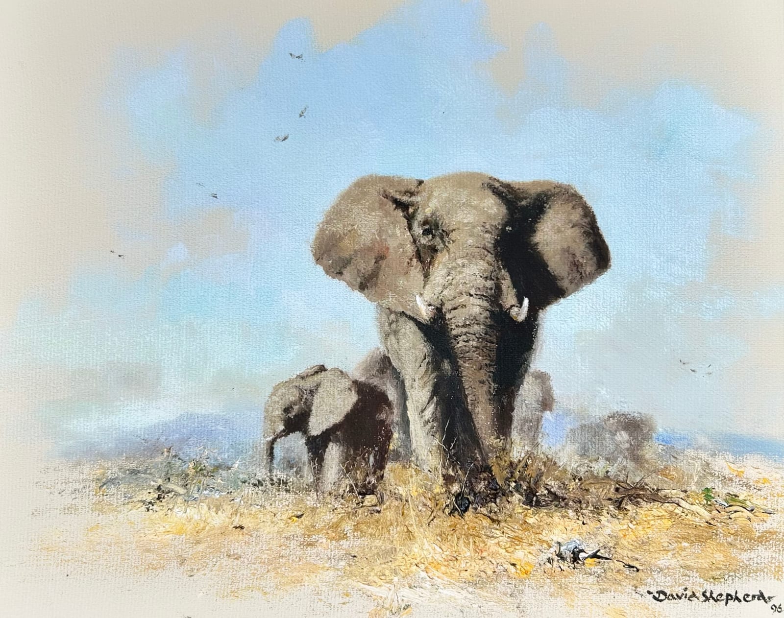 David Shepherd, Elephant