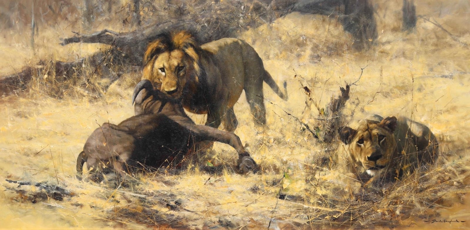 David Shepherd, The Kill