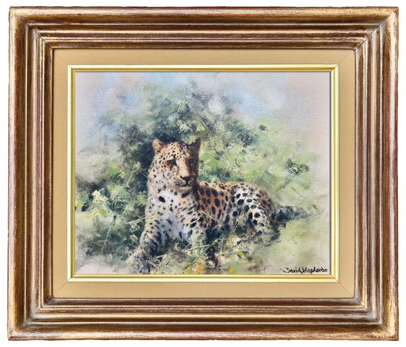 David Shepherd, Cheetah