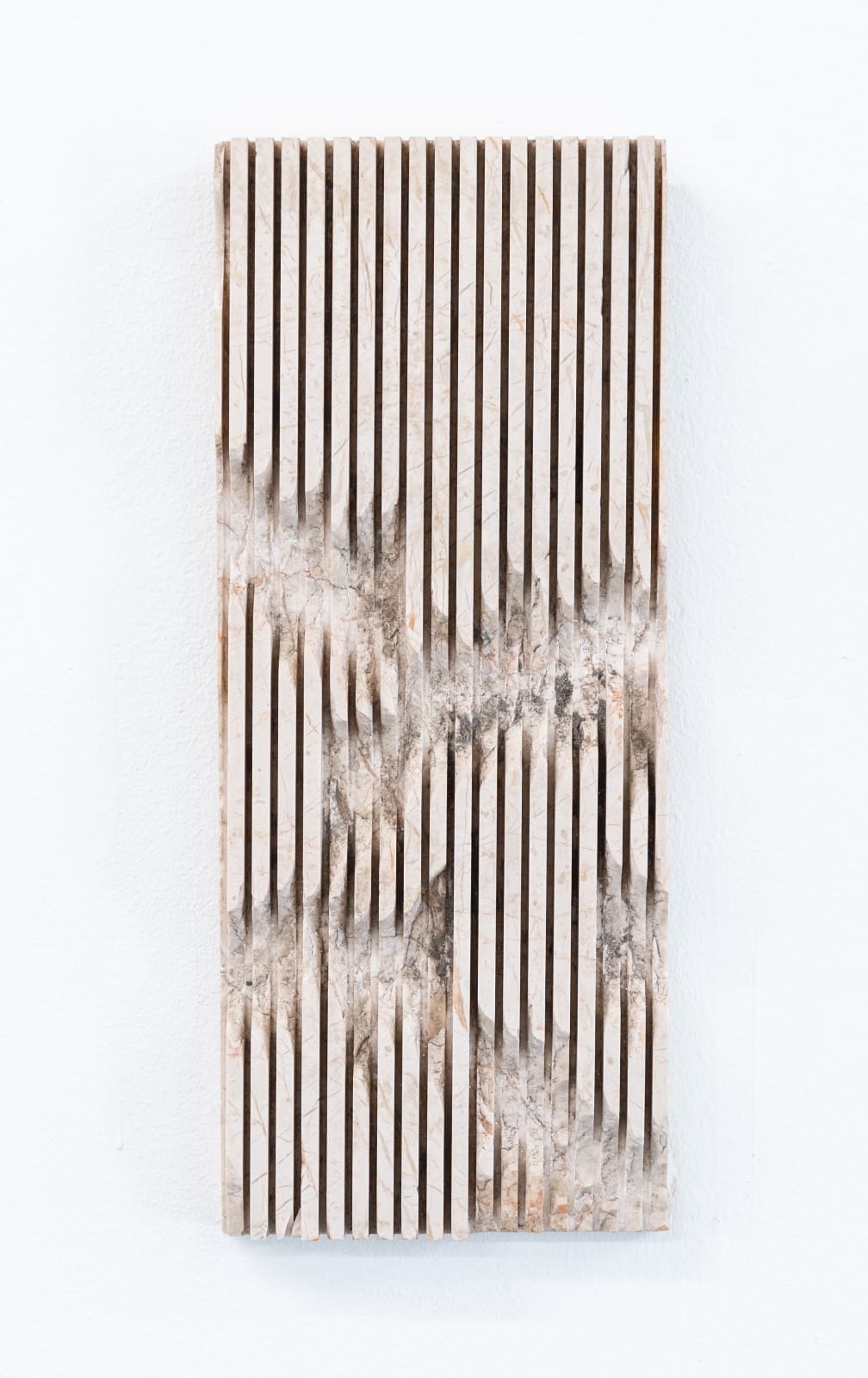 SaraNoa Mark, III, 2021