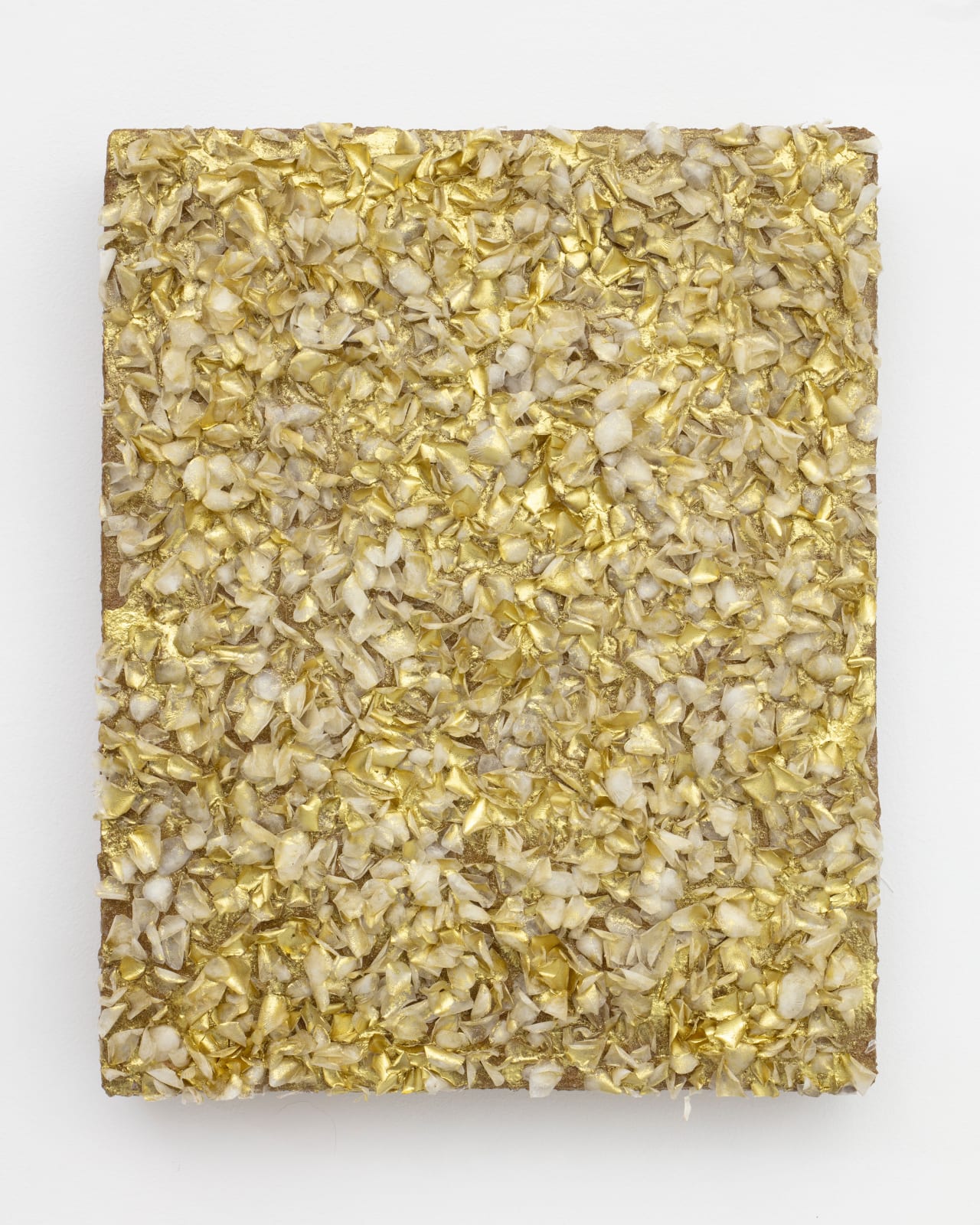 Ana Hernández, Escamas, 2024-25